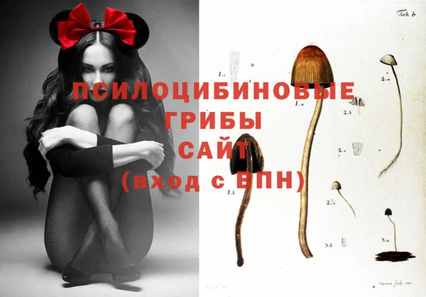 кристаллы Медвежьегорск