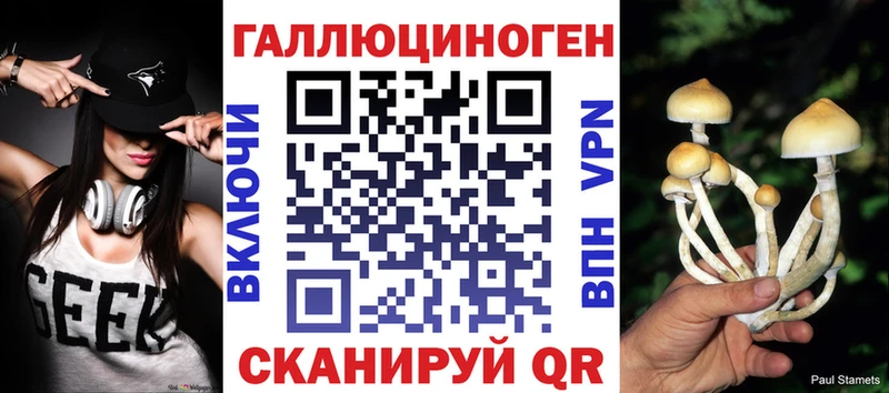 где можно купить   Сысерть  KRAKEN зеркало  Галлюциногенные грибы Magic Shrooms 